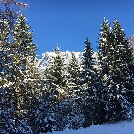 Szálloda Zum Urviech -erwachsenenhotel- (adults Only) Ehrwald