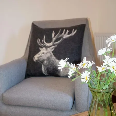 Hotel Zum Urviech -erwachsenenhotel- (adults Only) 2*