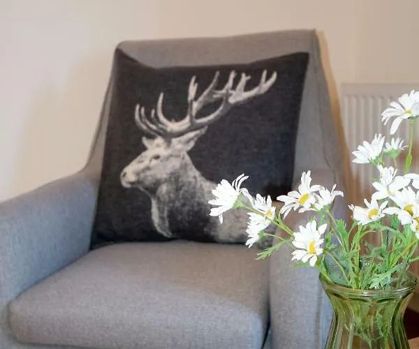 Hotel Zum Urviech -erwachsenenhotel- (adults Only) 2*